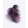 Cassis-Pods Cassis-Pods
